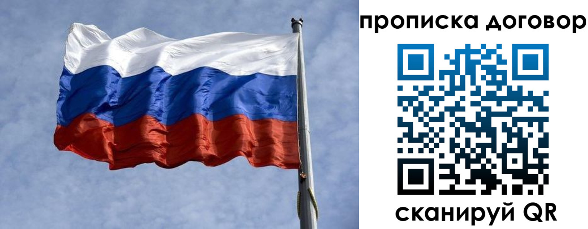 купить прописку в Нелидово